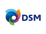 Logo_DSM.png Logo_DSM.png